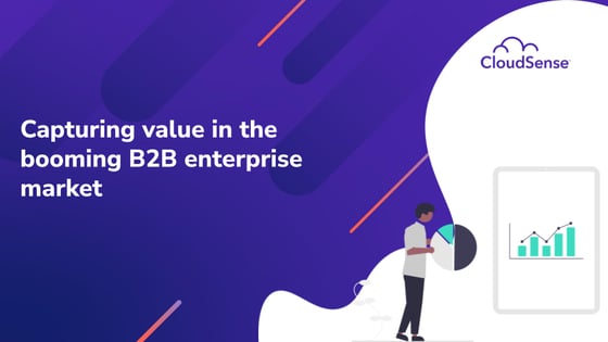 Capturing value in the booming B2B enterprise market